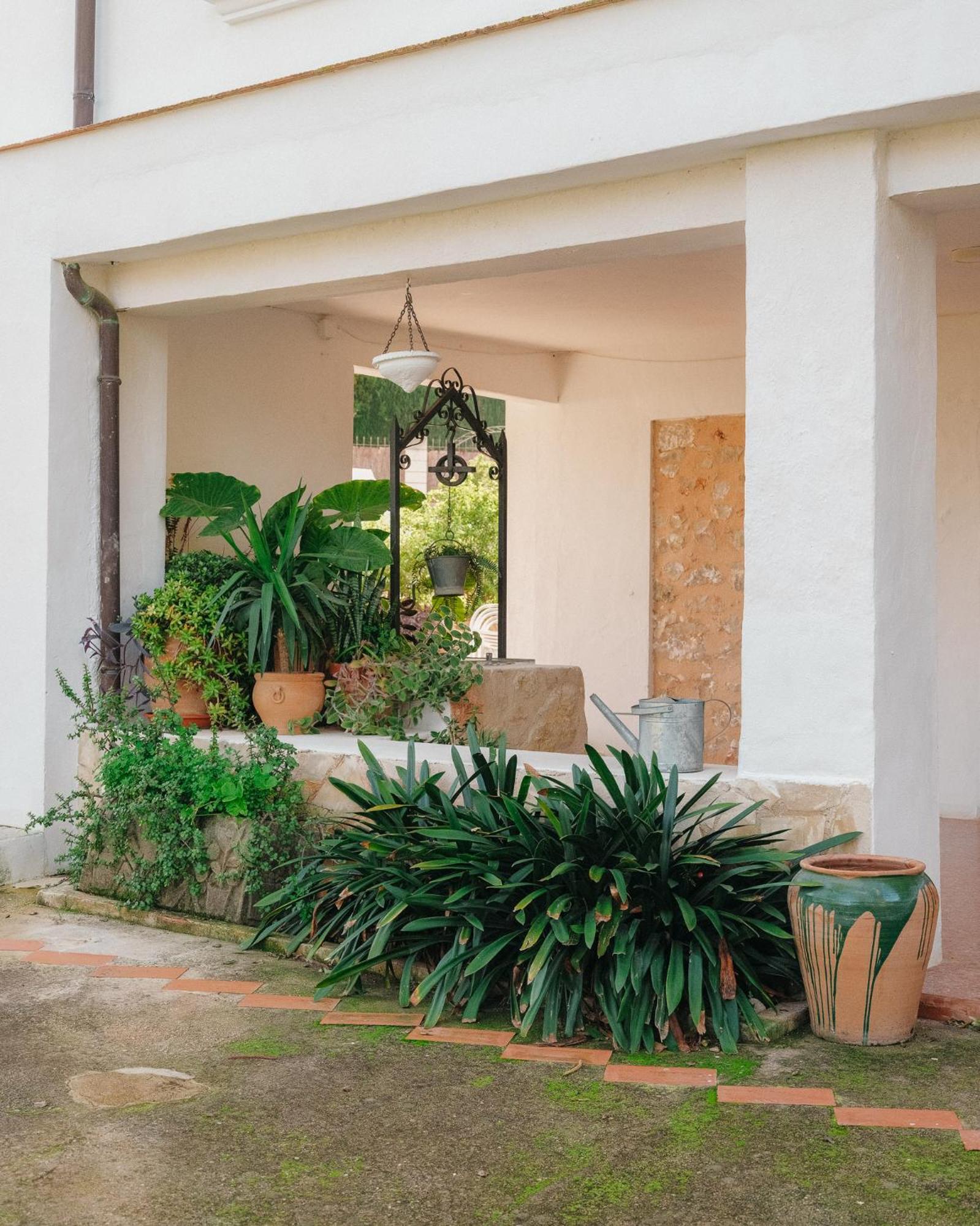 Casa Araucaria Villa